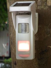 Détecteur solaire de l'alarme PIR avec le bruit et l'alerte légère aucune infraction