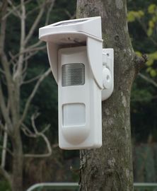 Détecteur solaire de l'alarme PIR avec le bruit et l'alerte légère aucune infraction